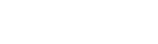 RS Global Search Partners